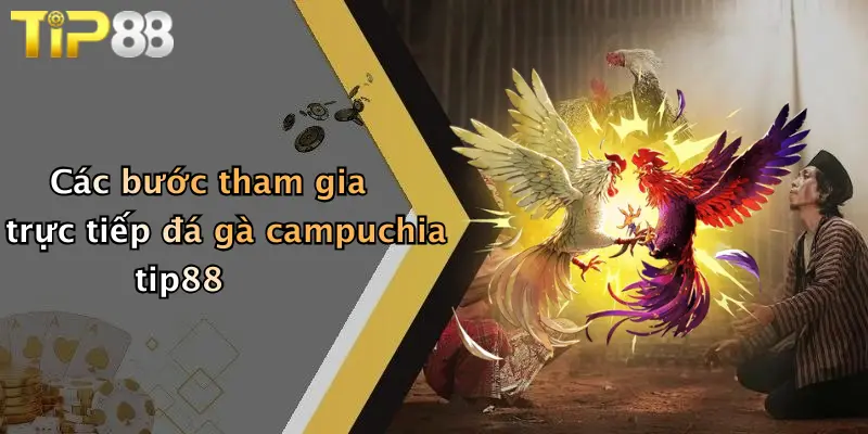 Các bước tham gia trực tiếp đá gà campuchia tip88