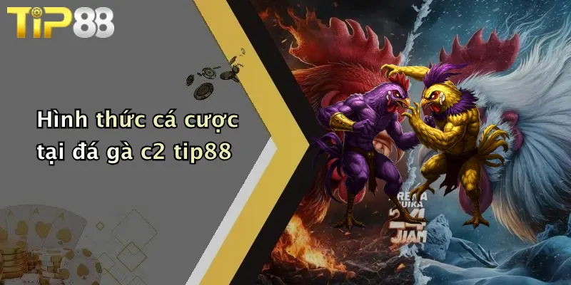 Hình thức cá cược tại đá gà c2 tip88