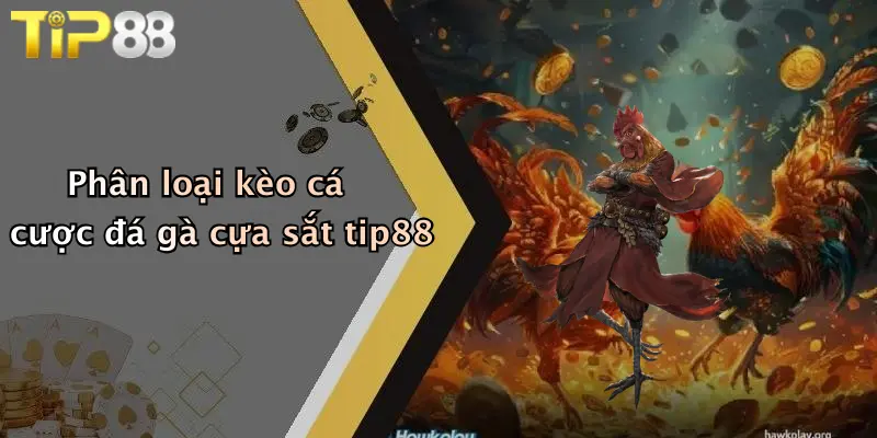 Phân loại kèo cá cược đá gà cựa sắt tip88