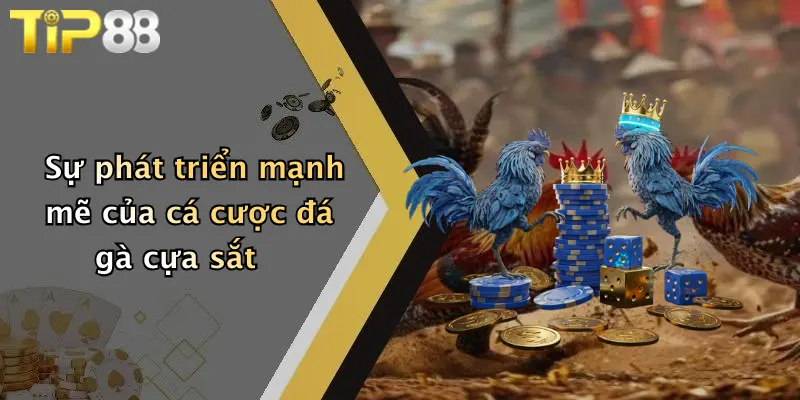 Sự phát triển mạnh mẽ của cá cược đá gà cựa sắt